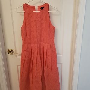 Ann Taylor Dress